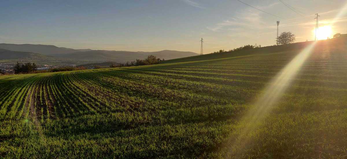 vue fontanes