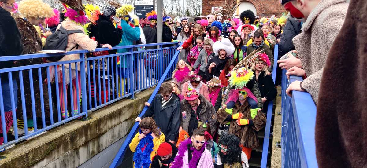 carnaval bergues