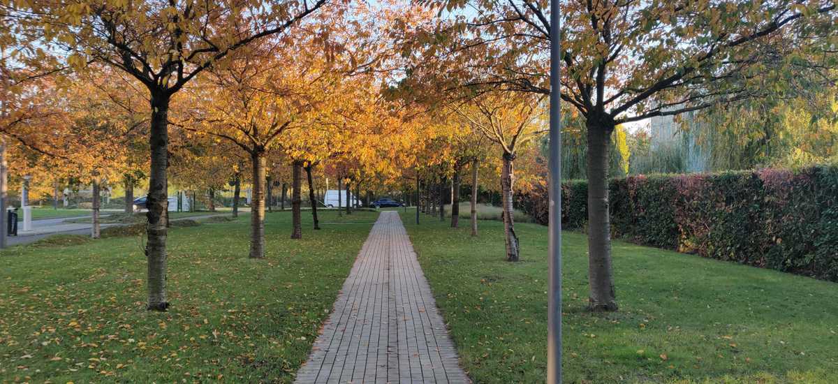 automne ircica